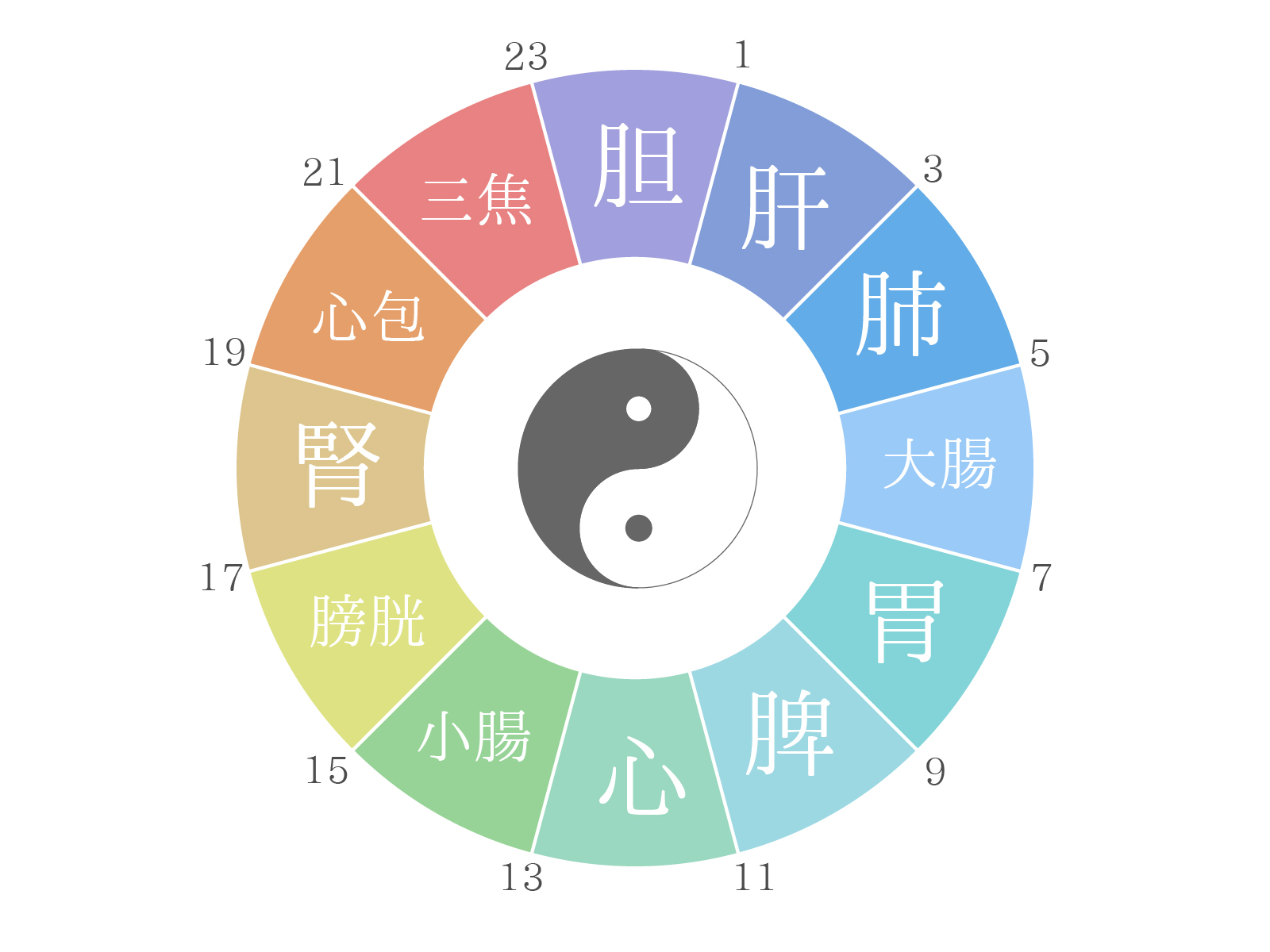 健康法としての東洋医学〜季節ごとの過ごし方〜
