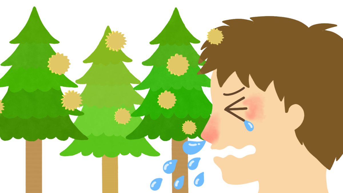 青葉台・藤が丘の鍼灸院が花粉症を考える。―身体の反応性を整えることで、花粉症の症状の波を小さくする―