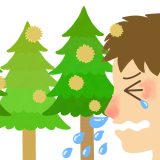 青葉台・藤が丘の鍼灸院が花粉症を考える。―身体の反応性を整えることで、花粉症の症状の波を小さくする―