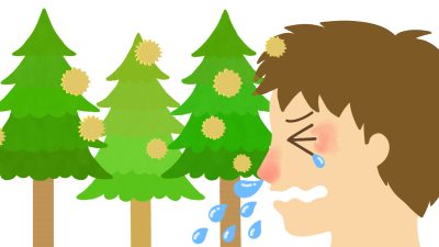 青葉台・藤が丘の鍼灸院が花粉症を考える。―身体の反応性を整えることで、花粉症の症状の波を小さくする―