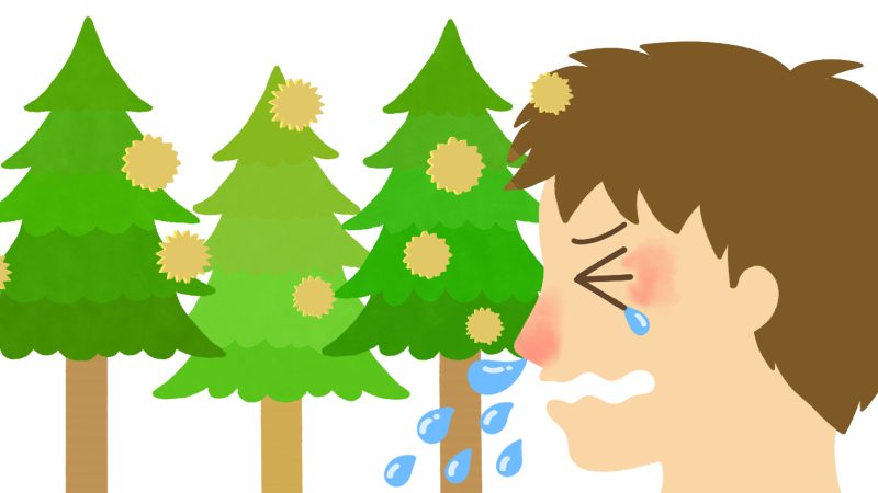 青葉台・藤が丘の鍼灸院が花粉症を考える。―身体の反応性を整えることで、花粉症の症状の波を小さくする―